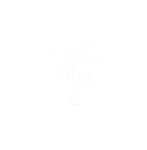 evergreenlogowhite2-293x300.png